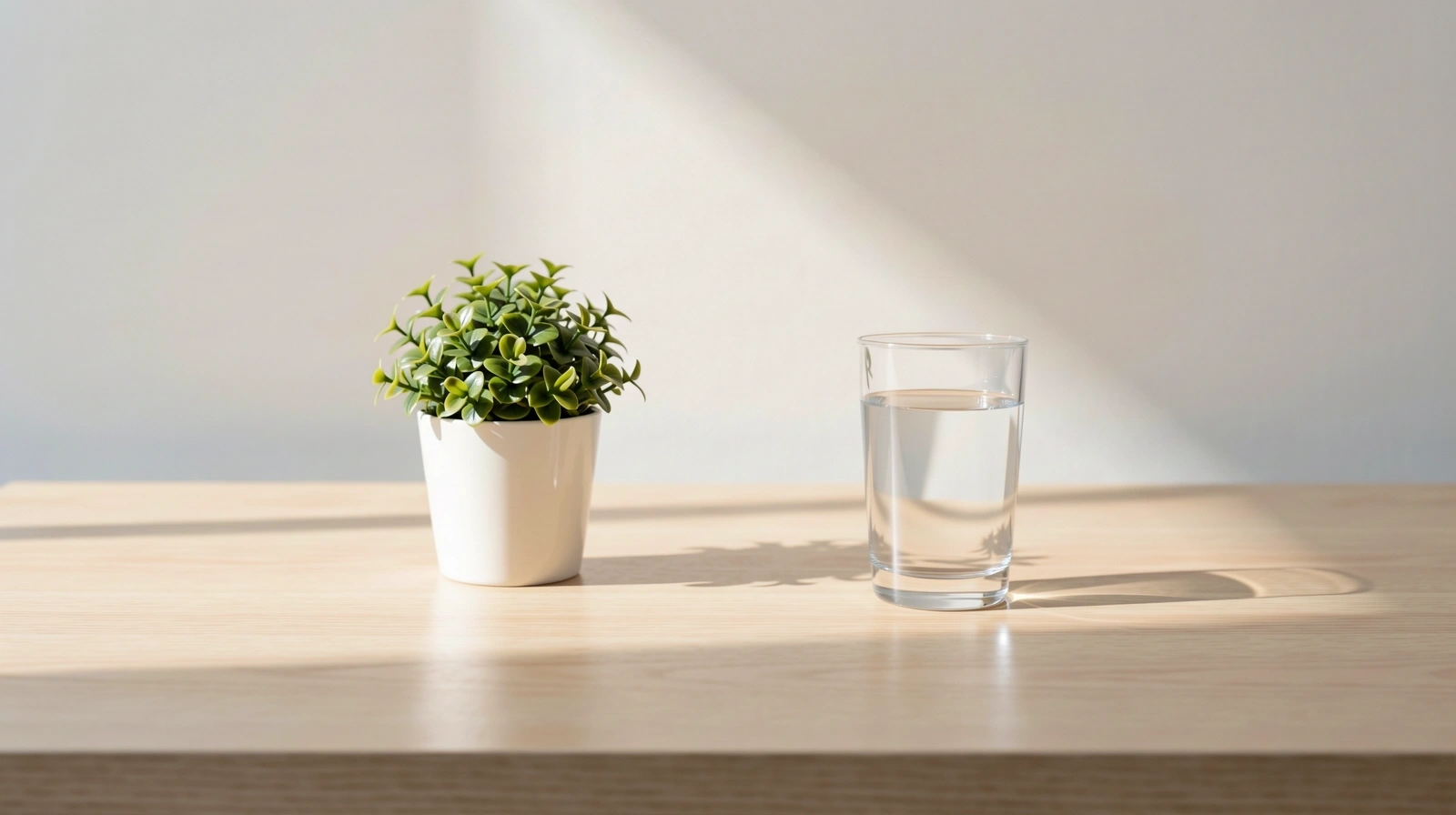 Entorno de claridad y transparencia