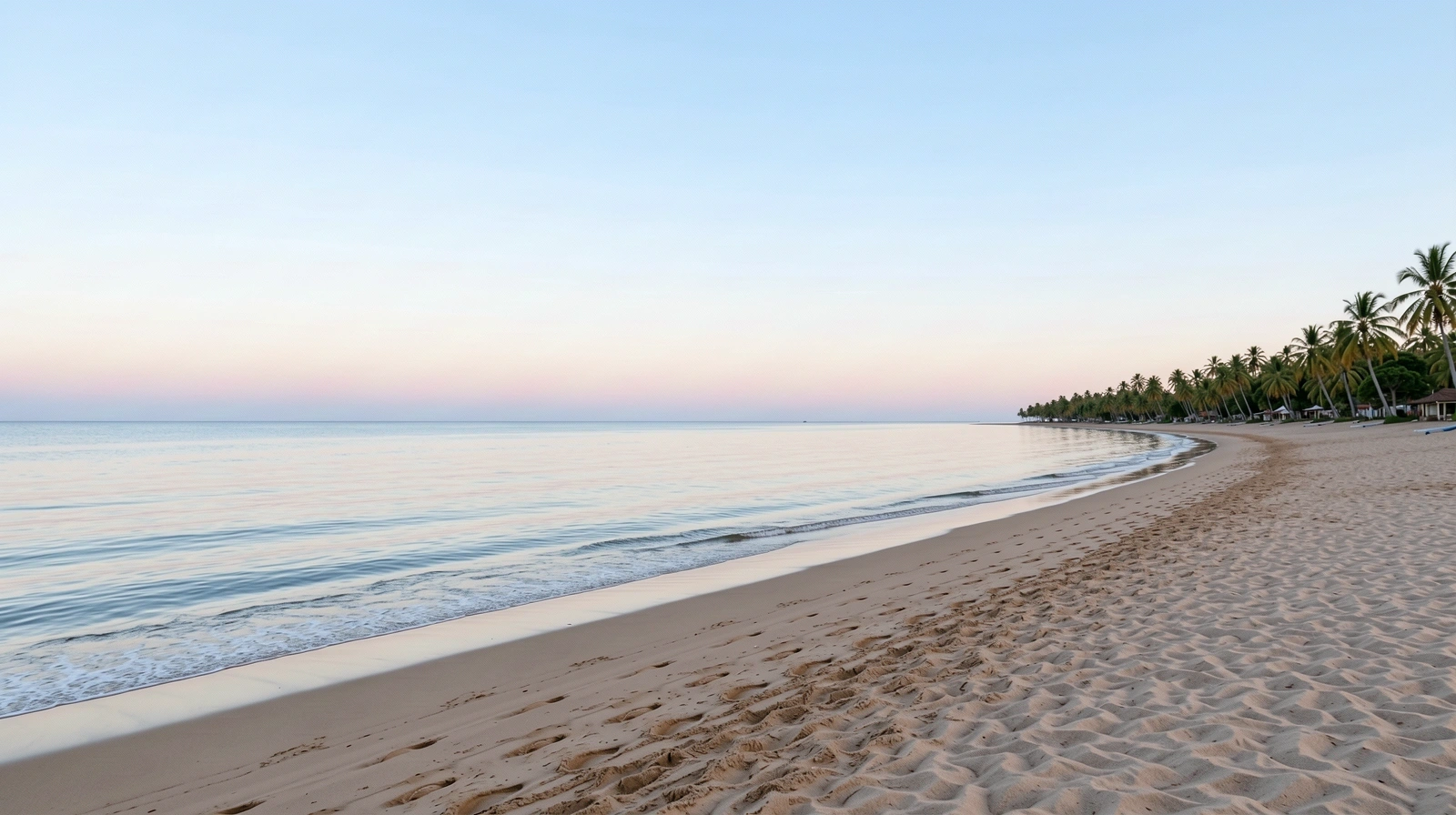 Serenidad y claridad en WebMetrico