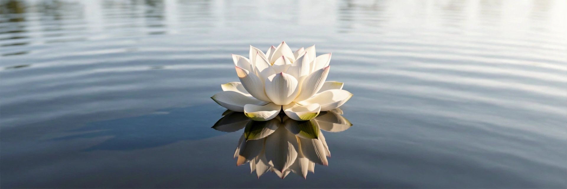 Simbolismo de claridad y pureza